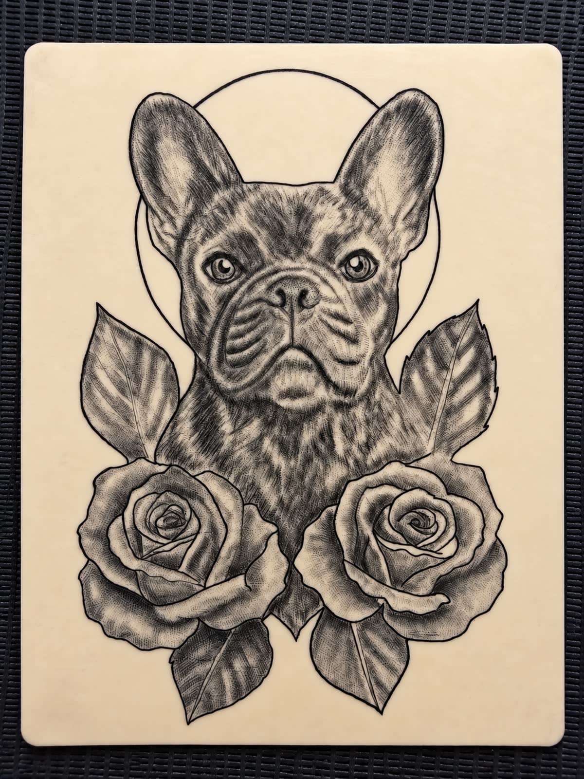 Blackwork french bulldog framed by roses
